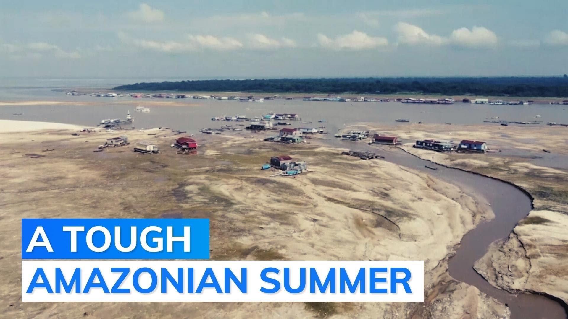 Quixplained: why Brazil's Amazon faces severe drought