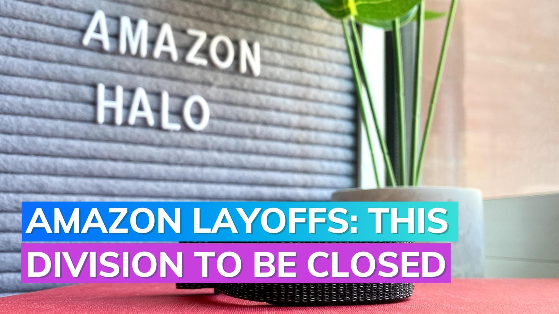 Halo division to be shut down by Amazon as part of broader layoffs