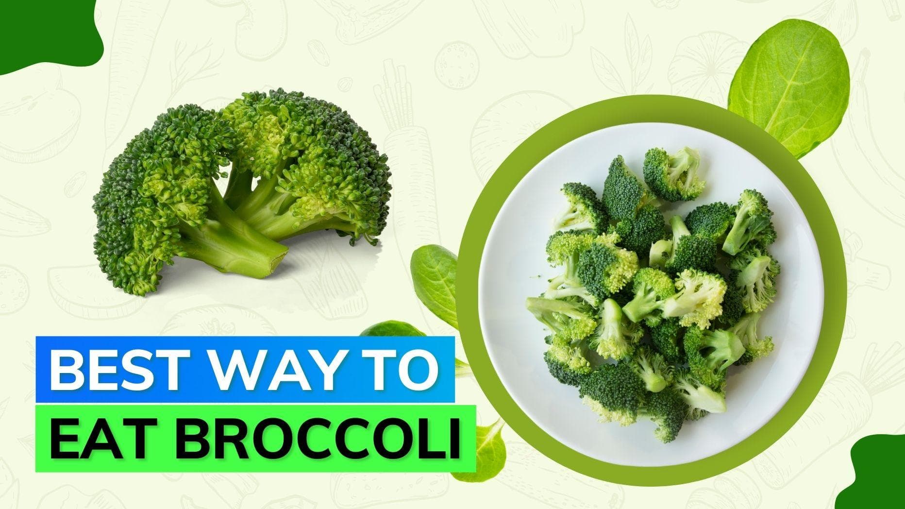 Broccoli: Know which is better; steamed or cooked