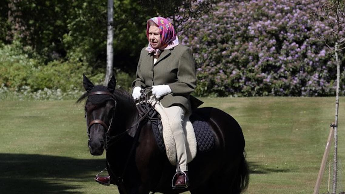 'Oldie?': Here's why 95-yr-old Queen Elizabeth rejected award for elderly