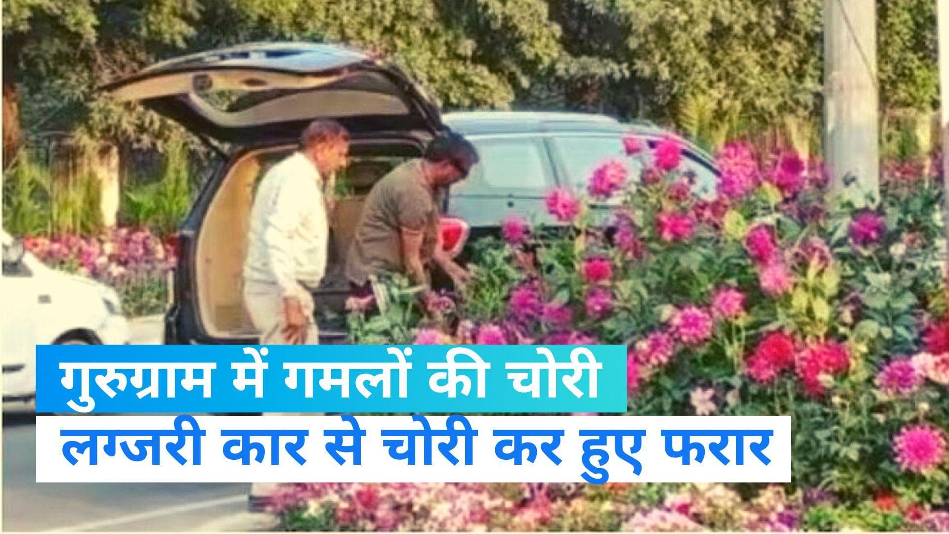 Viral video: सरकारी गमलों पर लग्जरी चोरों ने किया हाथ साफ, वीडियो सोशल मीडिया पर वायरल