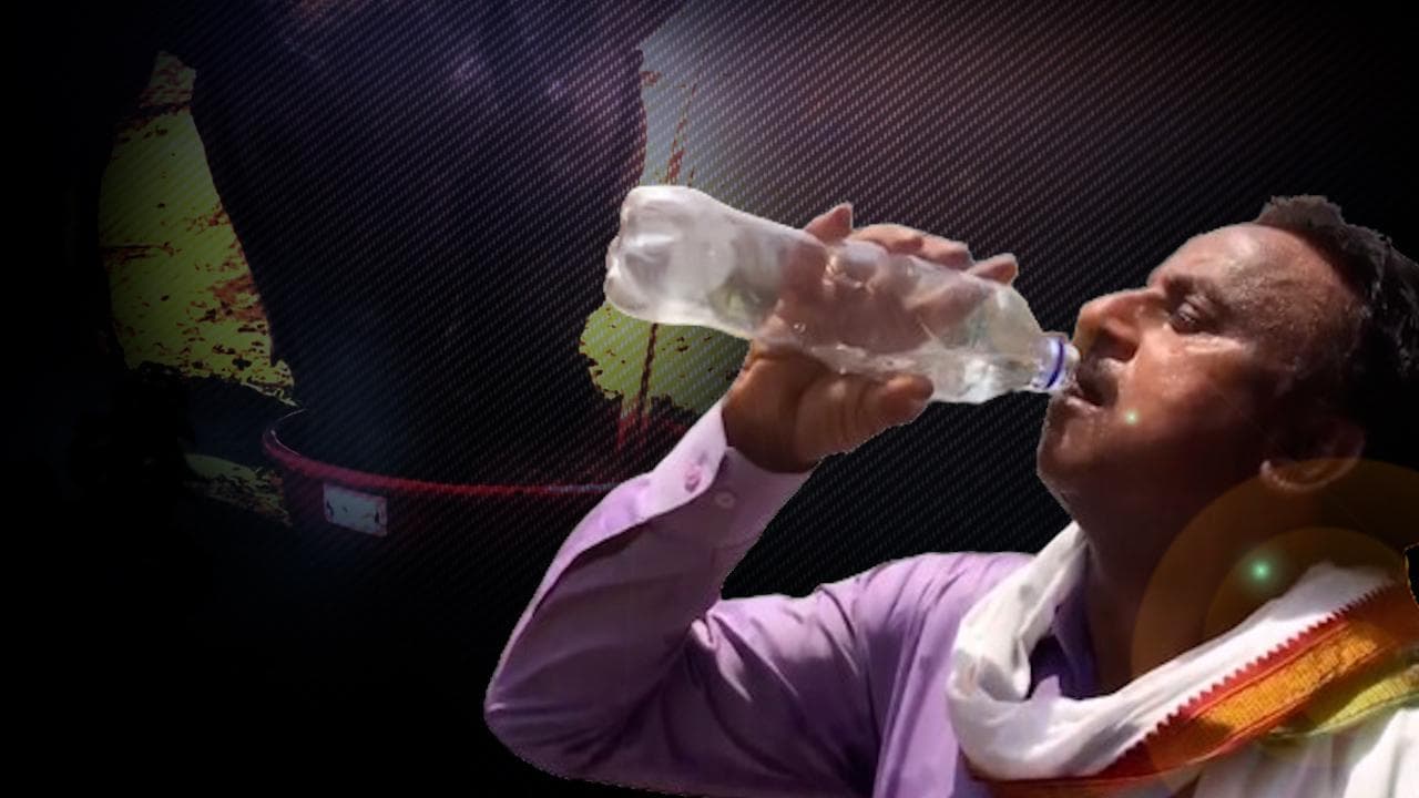 Haryana issues guidelines to safeguard public and livestock during heatwave