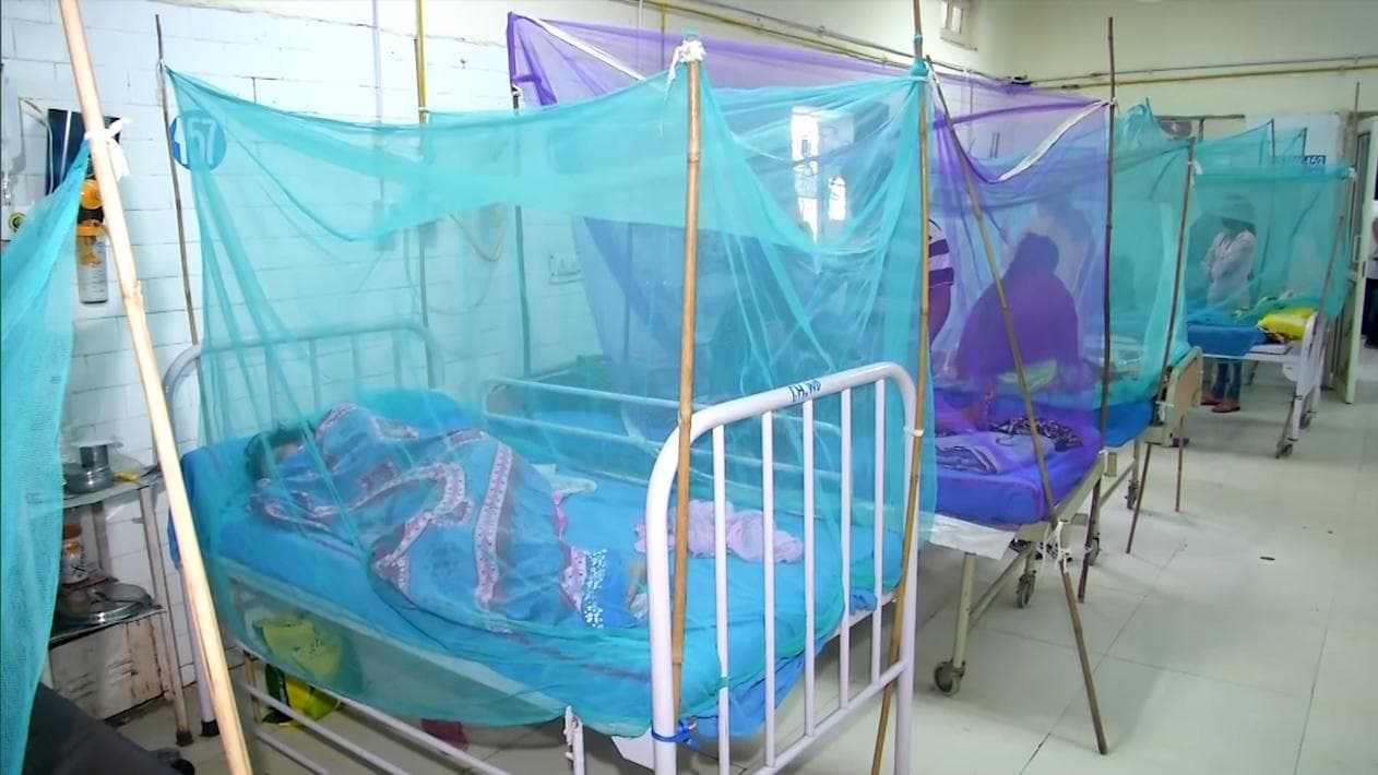 Dengue in Bengal: নিম্নচাপের জেরে রাজ্যে বাড়তে পারে ডেঙ্গির প্রকোপ, আশঙ্কা চিকিৎসকদের