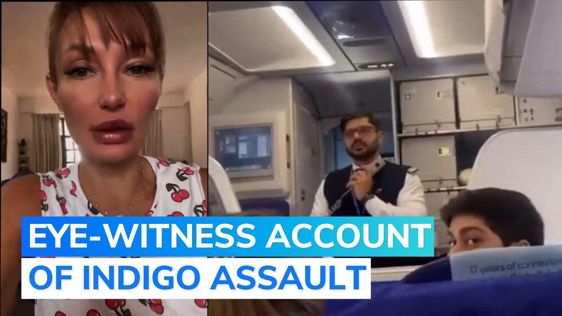 IndiGo assault case: pilot instigated man to attack, says Russian passenger 
