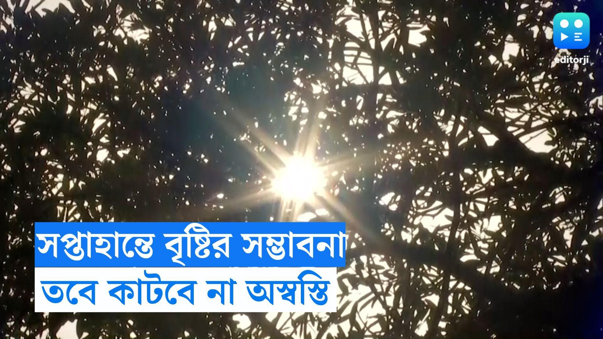 Weather Update: সপ্তাহান্তে হালকা থেকে মাঝারি বৃষ্টির সম্ভাবনা, তবে আদ্রতা জনিত অস্বস্তি থাকবে 