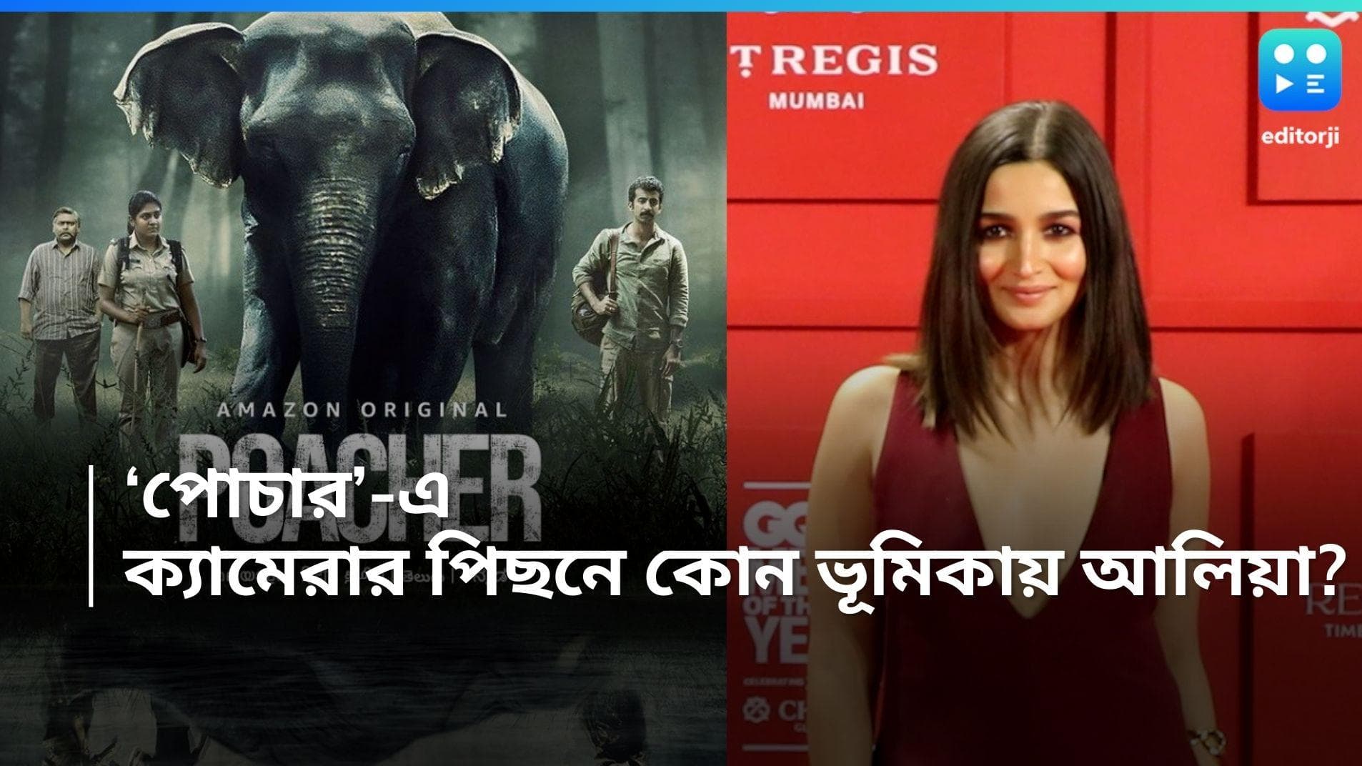 Alia Bhat-Poacher: ক্যামেরার পিছনে কাজ করবেন, ‘পোচার’ সিরিজে কোন ভূমিকায় আলিয়া? 