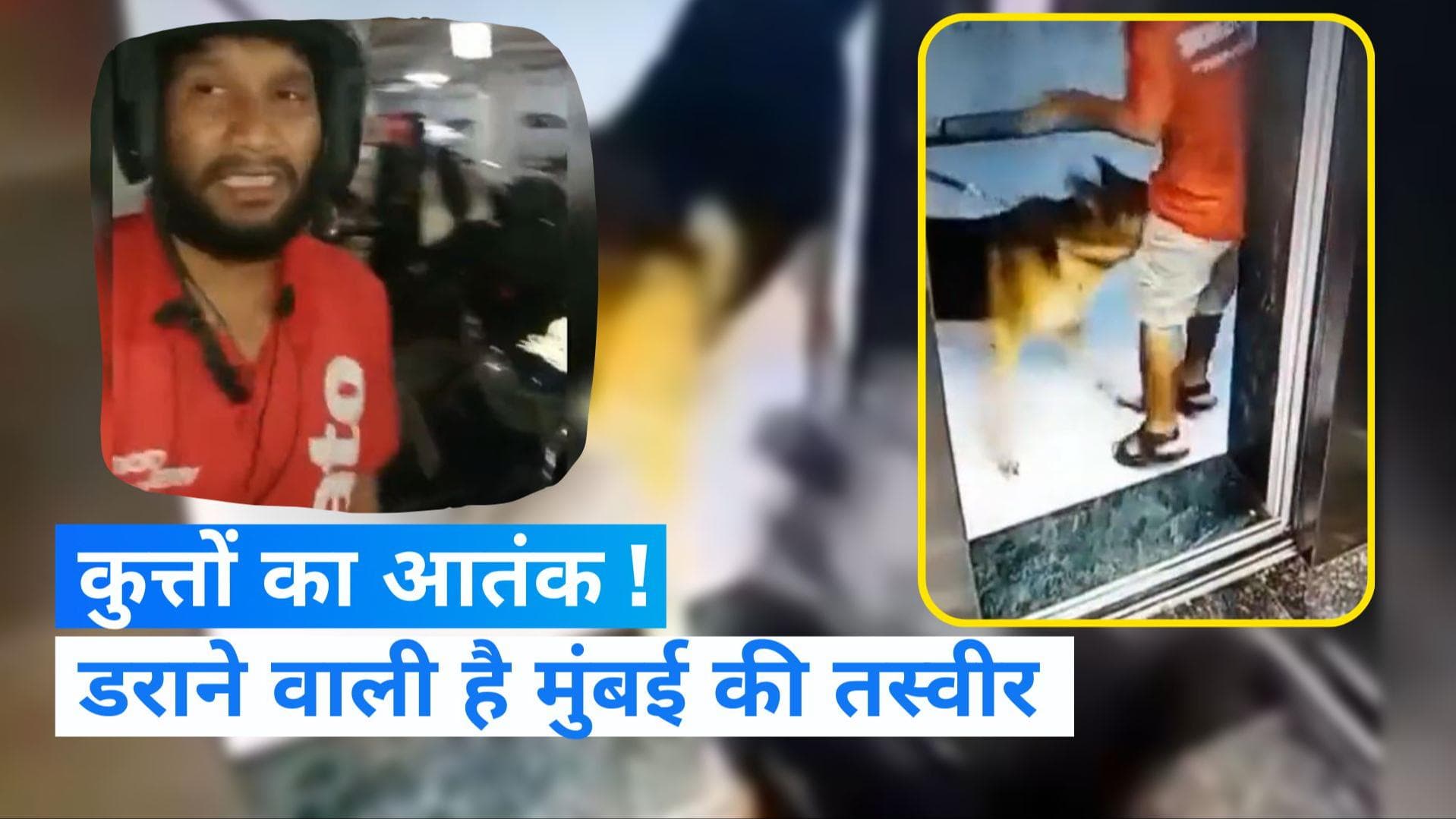 Viral video: कुत्ते ने काटा Zomato डिलीवरी ब्वॉय का प्राइवेट पार्ट, मुंबई का वीडियो वायरल 