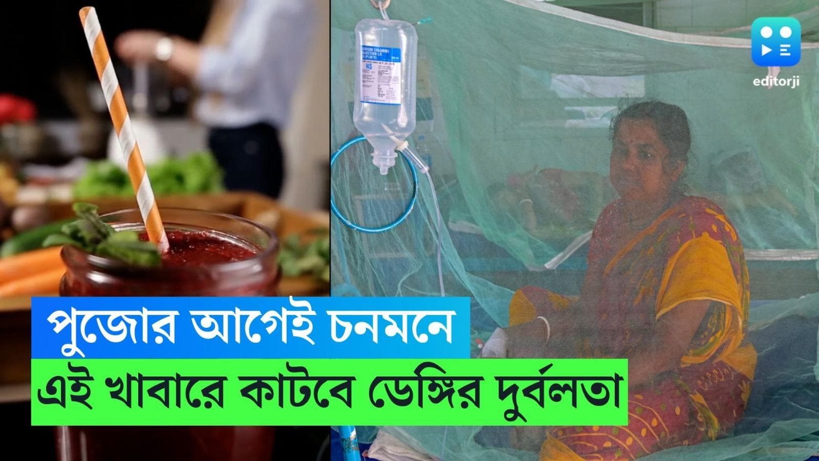 Durga Puja 2023: সামনেই দুর্গা পুজো, ডেঙ্গির দুর্বলতা কাটাতে পাতে থাক এই খাবার 