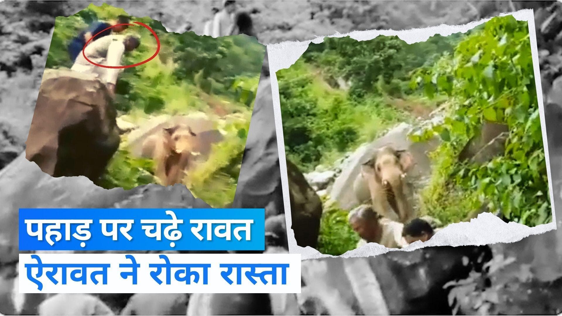 Viral Video: पूर्व सीएम के पीछे पड़ा हाथी, गाड़ी छोड़ भागे रावत