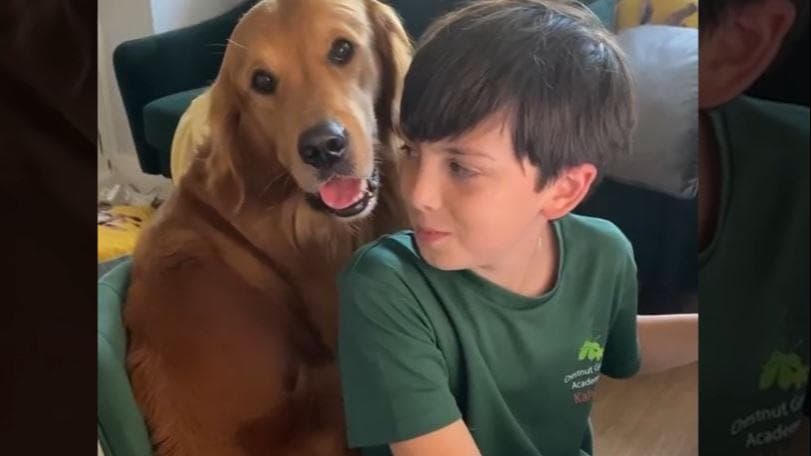 Viral Video: कुत्ते ने की बच्चे को होमवर्क करने में मदद, सोशल मीडिया पर वीडियो वायरल