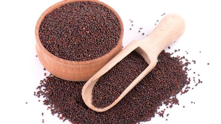 कहीं आप सरसों के नाम पर आर्गिमॉन के बीज तो नहीं खा रहे हैं? FSSAI ने बताया मिलावट पकड़ने का तरीका