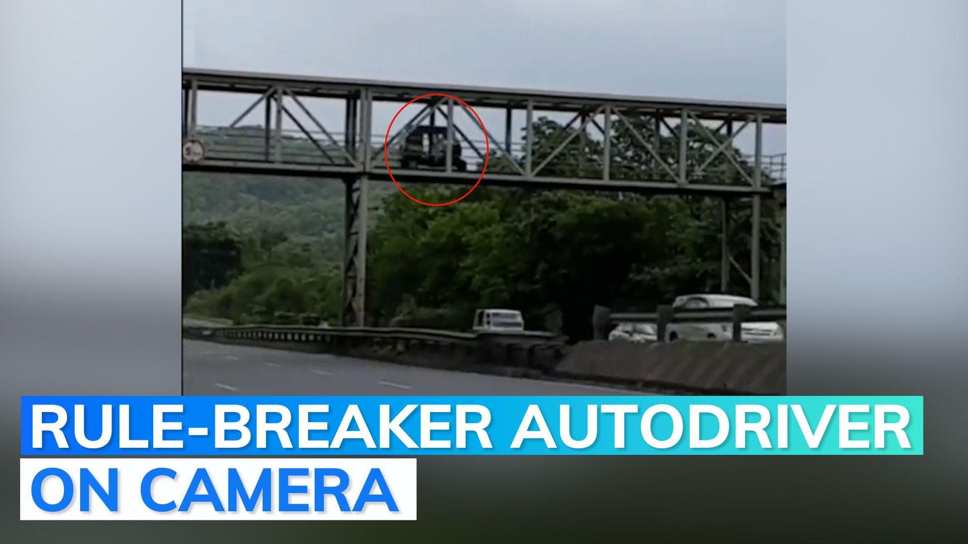 Video: man drives autorickshaw on footbridge to cross Maharashtra highway