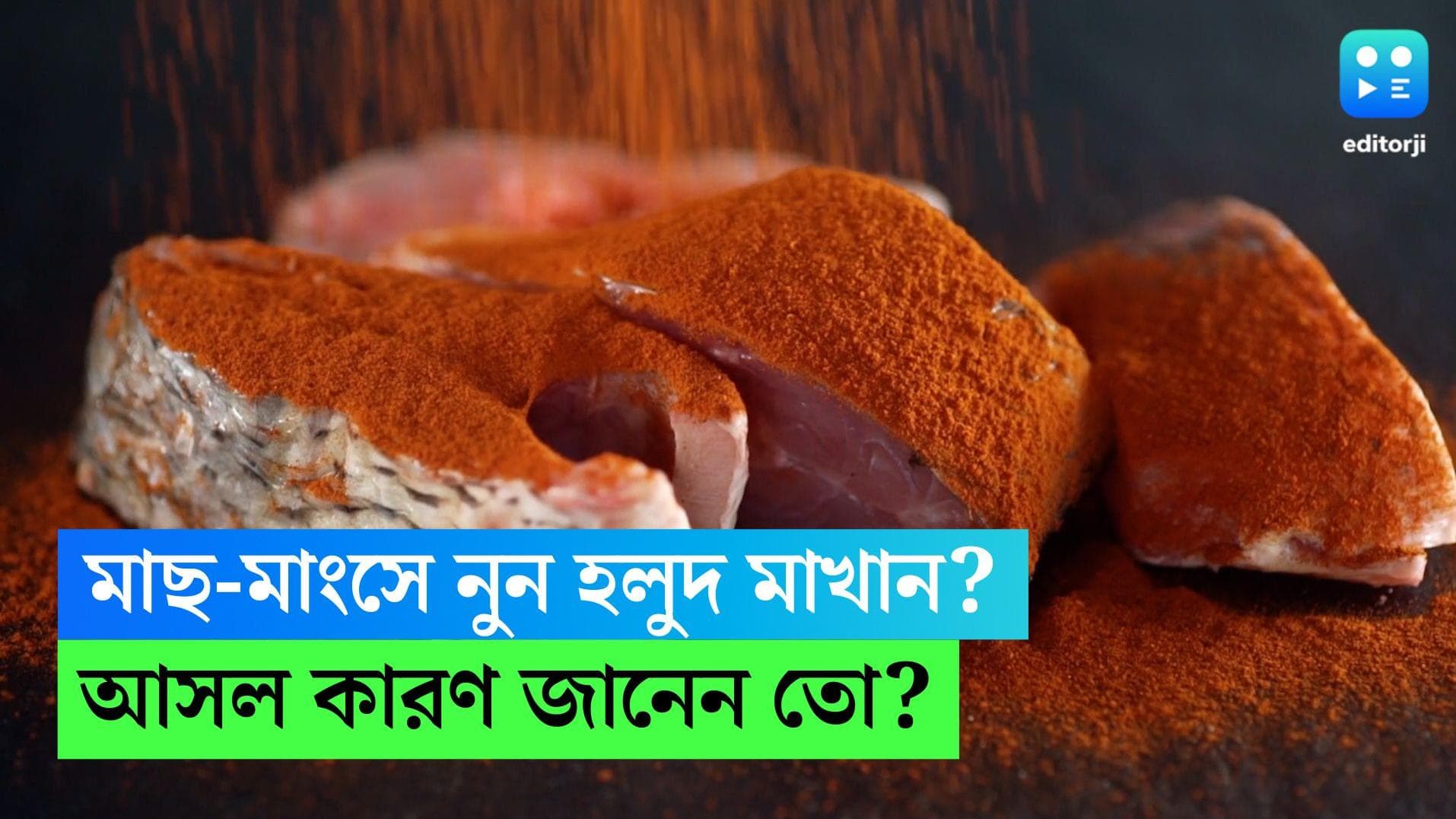  Salt And Turmeric Marination: রান্নার আগে মাছ-মাংসে নুন হলুদ তো মাখান, কারণ জানেন? 
