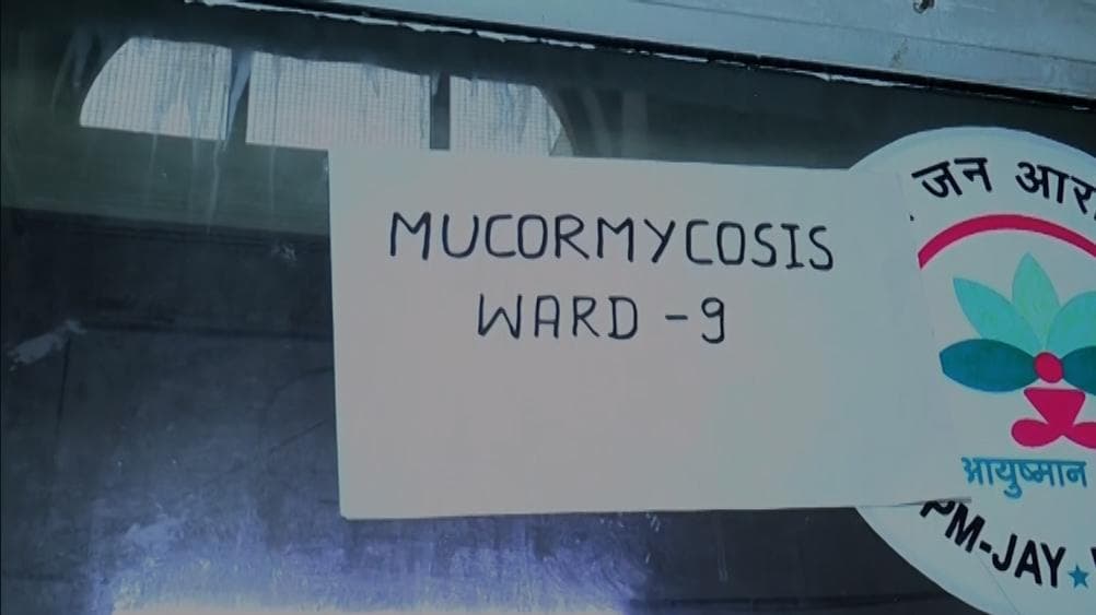 Rare case of post-dengue black fungus found: Delhi hospital