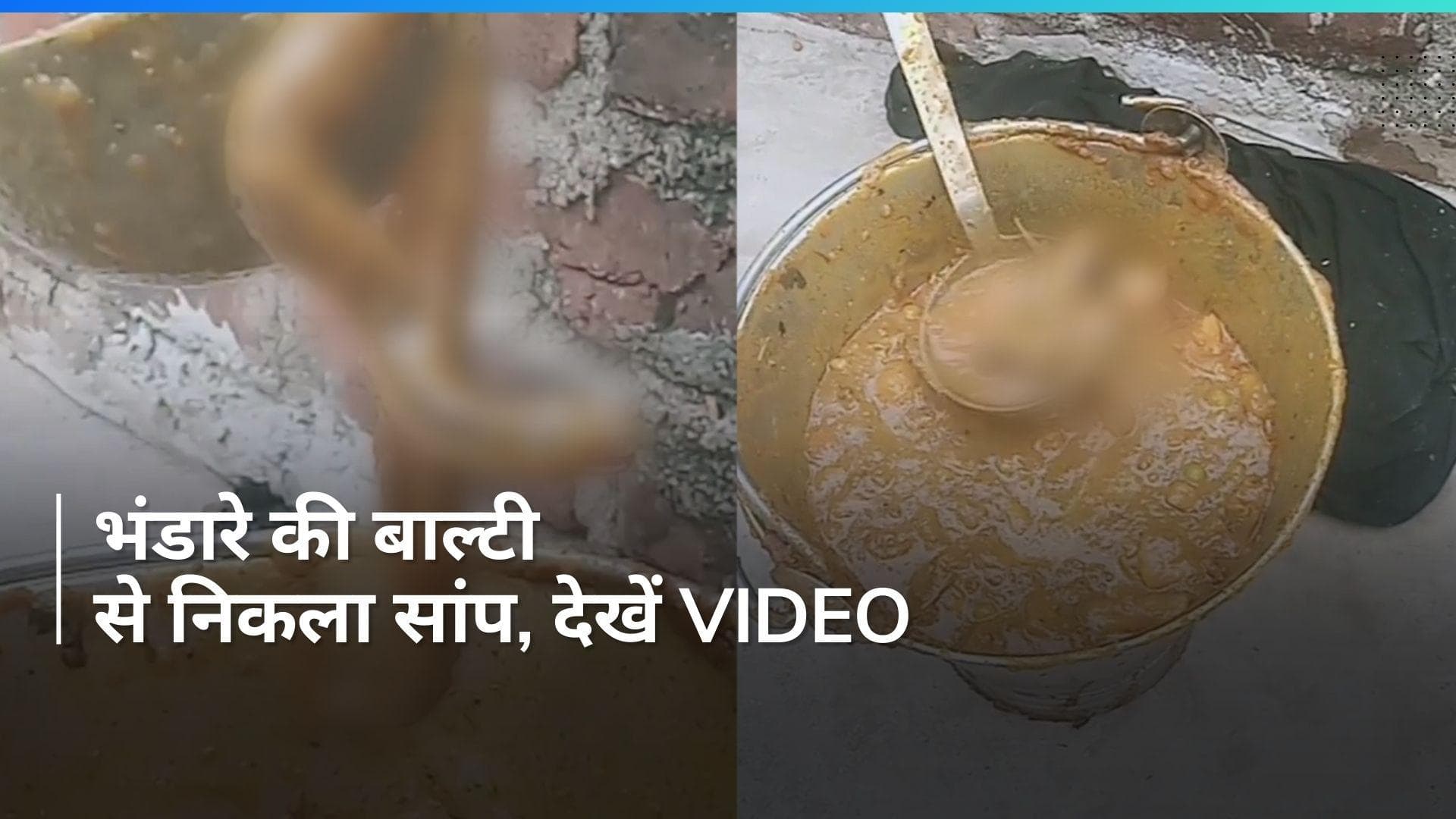 Viral video: जब भंडारे के खाने में निकला सांप, मच गई चीख-पुकार