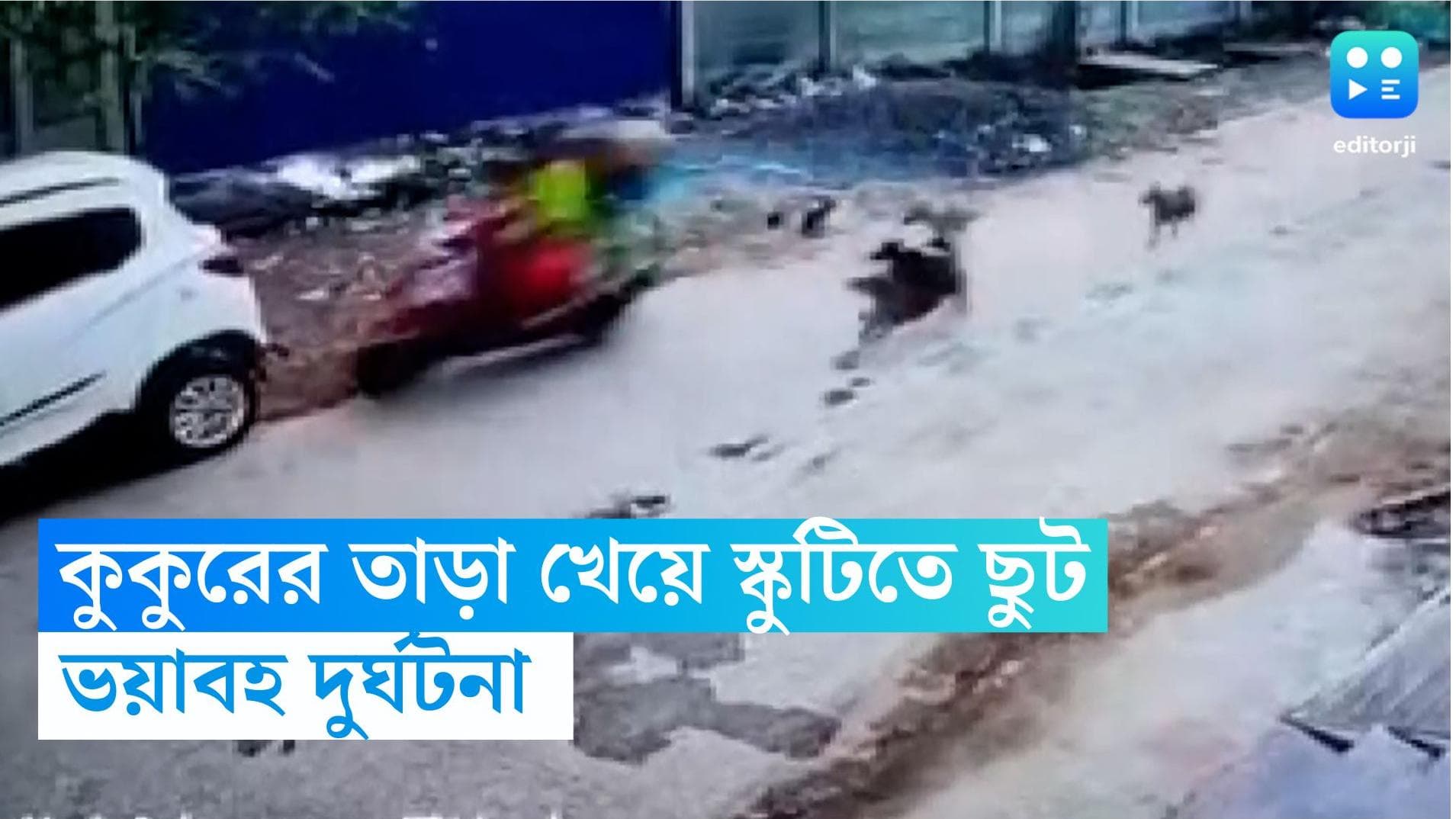 Stray Dog Attack in Odisha : কুকুরের তাড়া খাওয়া স্কুটির সঙ্গে গাড়ির ধাক্কা, এক শিশু-সহ আহত তিন