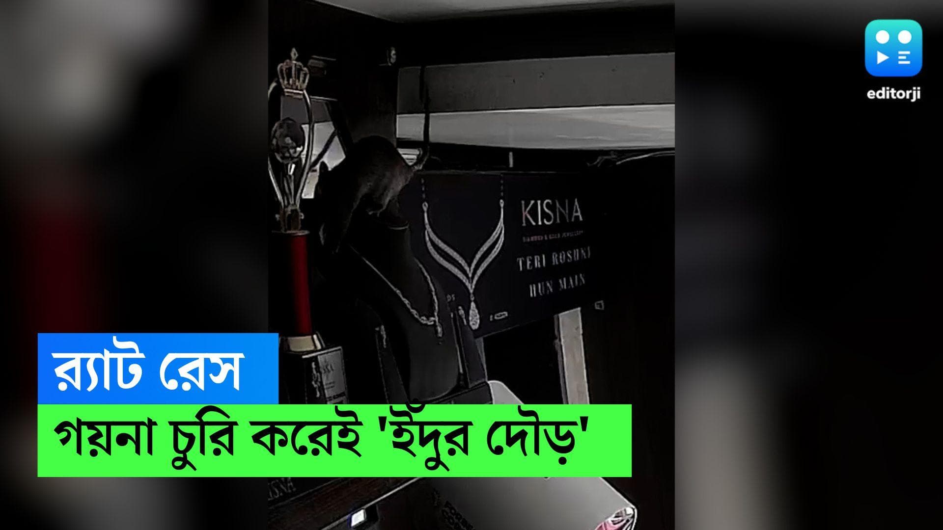 Rat stole Necklace: নেকলেস চুরি করে চম্পট দিল ইঁদুর! ভাইরাল হল আশ্চর্য ভিডিও