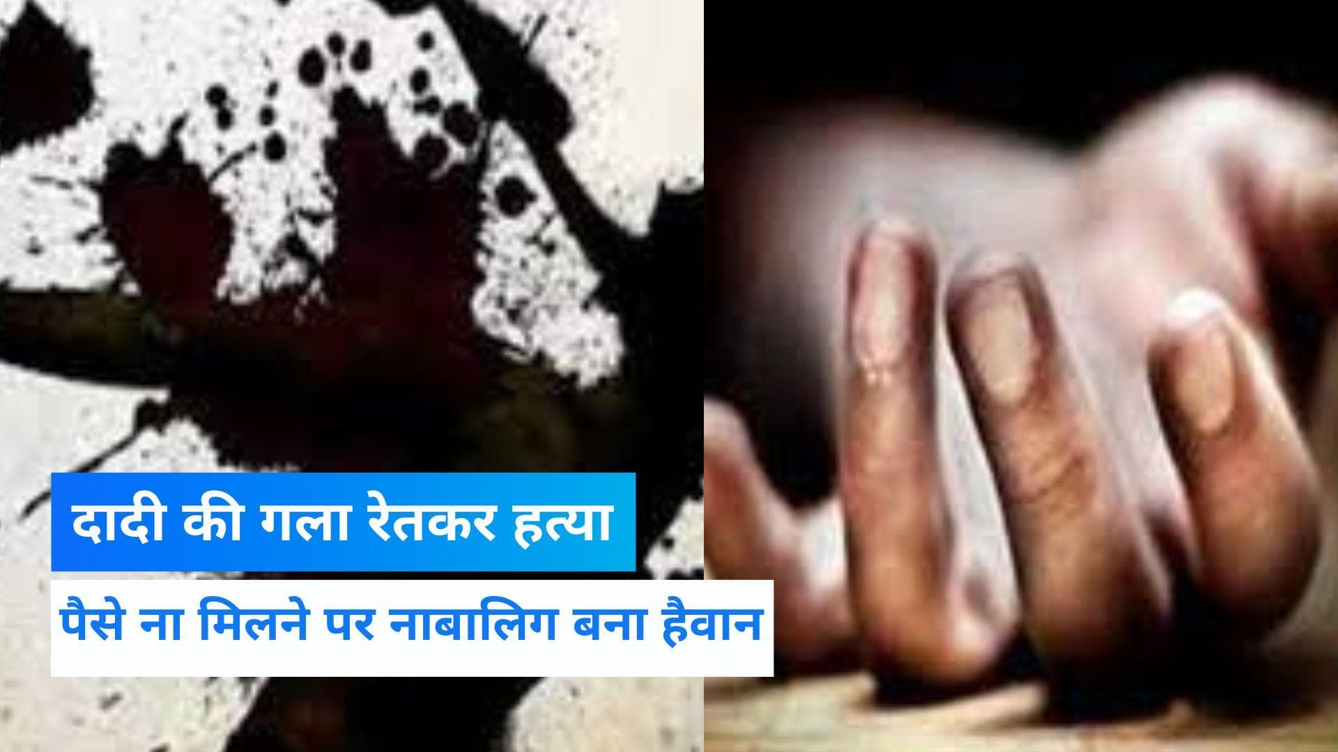 Delhi Murder: सर्जिकल ब्लेड से नाबालिग ने रेत दिया दादी का गला, Video Call पर दोस्तों को दिखाई लाश