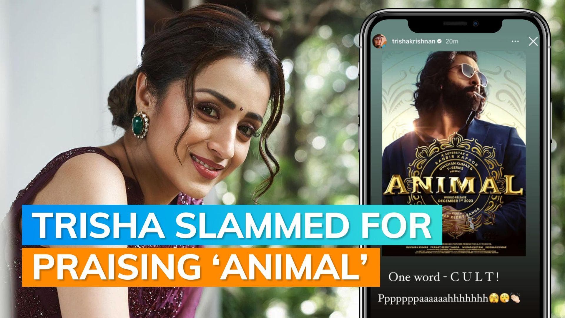 Trisha refers to Ranbir Kapoor's Animal as a 'cult' movie; removes post following criticism
