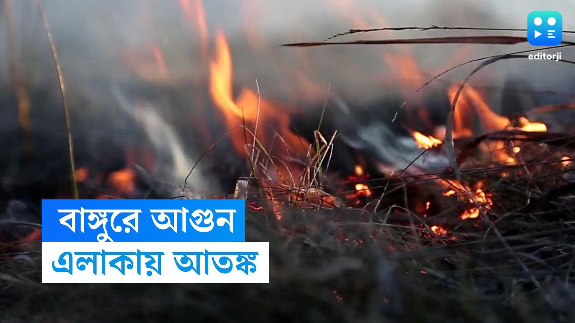 Bangur Fire: বাঙুরের বহুতলে ভয়াবহ আগুন, পাশেই পেট্রোল পাম্প, আতঙ্কে এলাকাবাসী