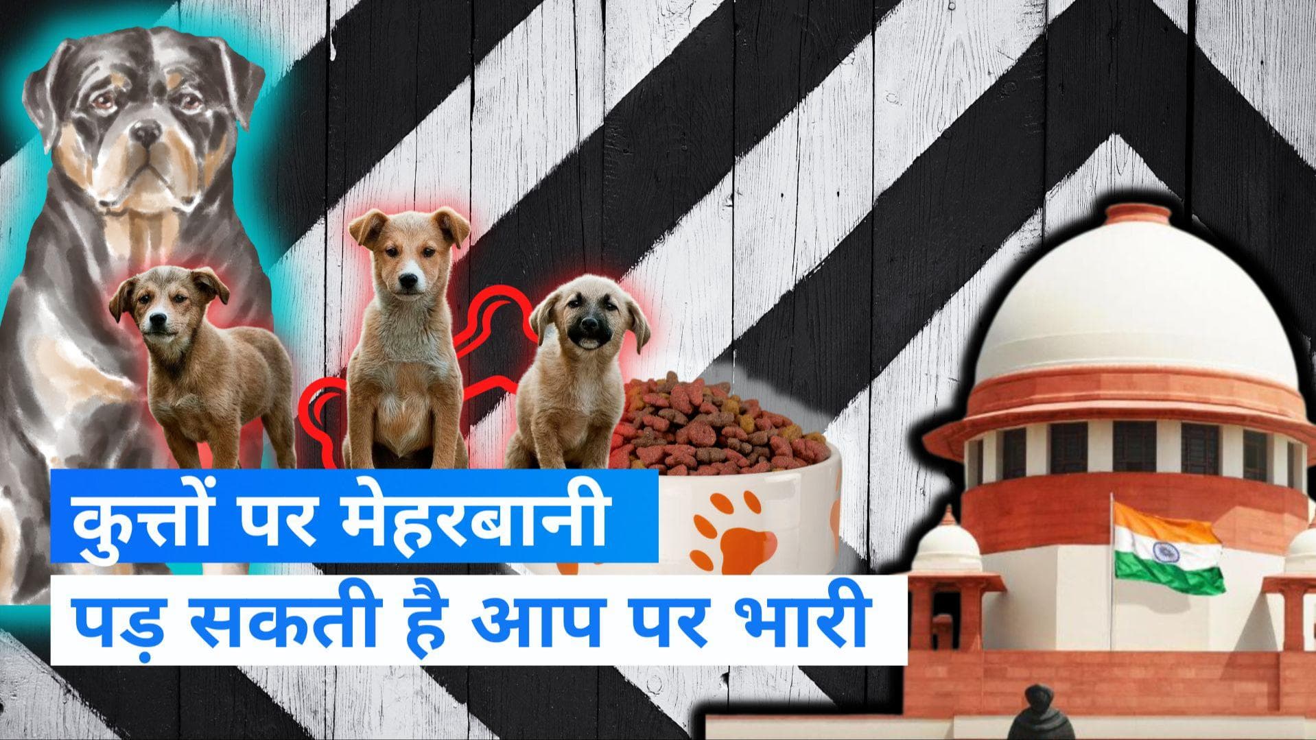 Supreme Court: लावारिस कुत्तों को खाना देने से पहले जानें जरूरी खबर, रहमदिली दिखाई तो मुआवजा भी देना होगा