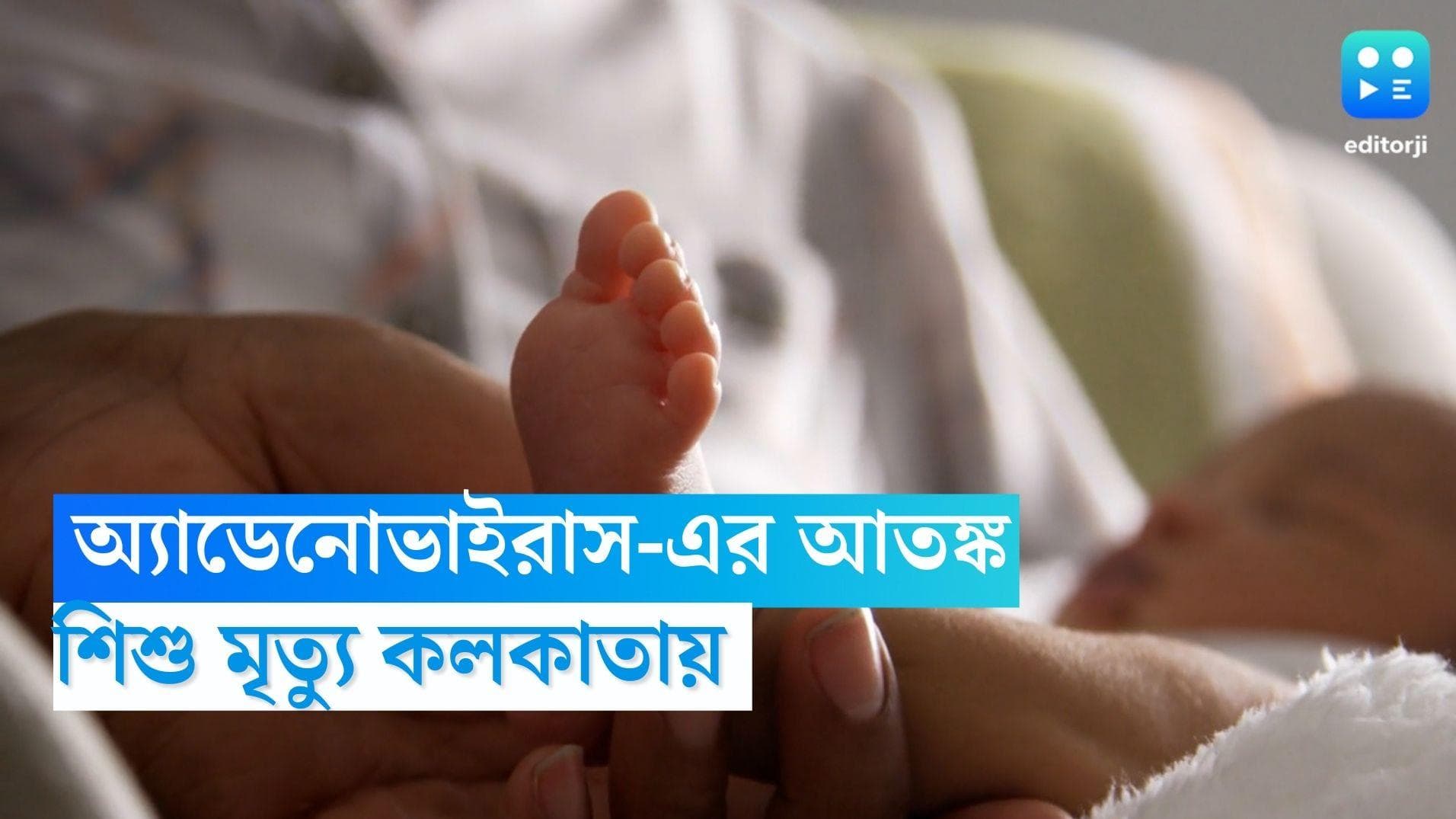 Adenovirus Death: রাজ্যে বাড়ছে অ্যাডেনোভাইরাস-এর আতঙ্ক! শিশু মৃত্যু কলকাতায়