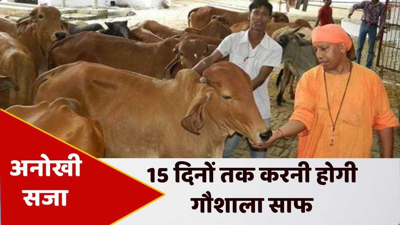 अनोखी सजा: CM योगी पर किया आपत्तिजनक पोस्ट, अब 15 दिनों तक करनी होगी गौशाला की सफाई