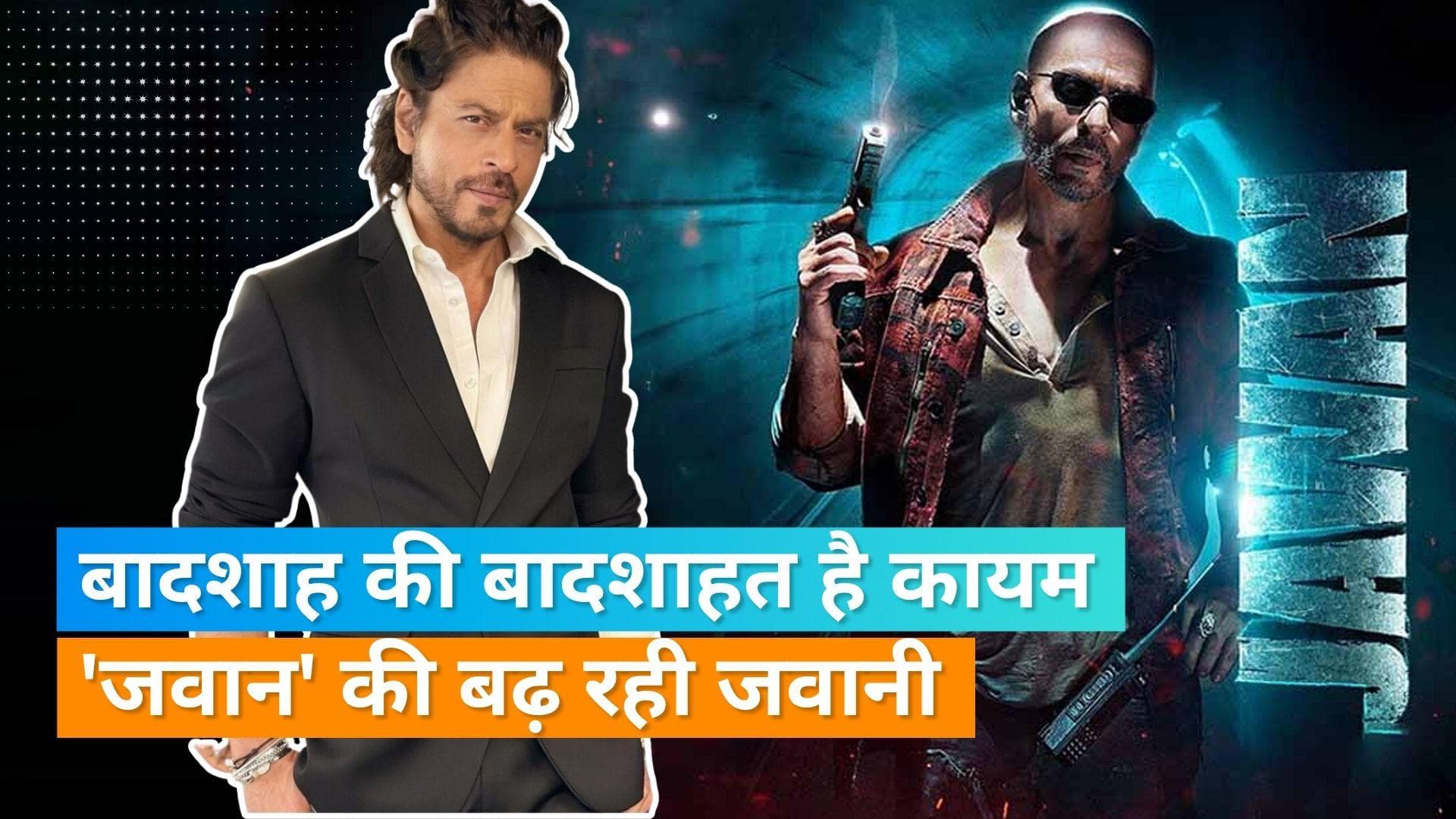 'Jawan' box office collection Day 12: सबसे तेज किंग खान की फिल्म 800 करोड़ रुपये के पार, झूमा बॉक्स ऑफिस