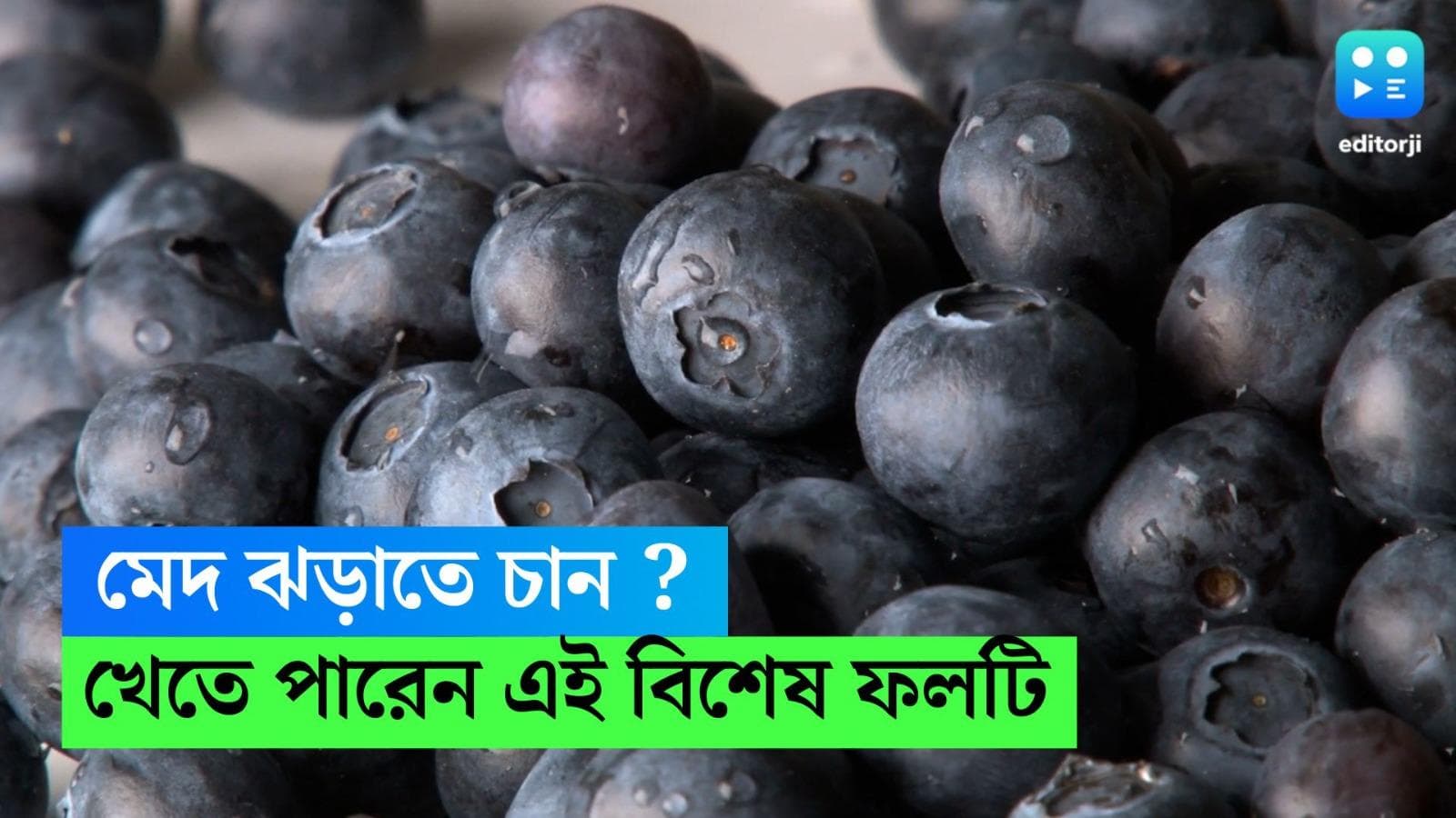 Blueberries Benefit : মোটা হয়ে যাচ্ছেন ? মেদ কমাতে এই ফলের জুড়ি মেলা ভার 