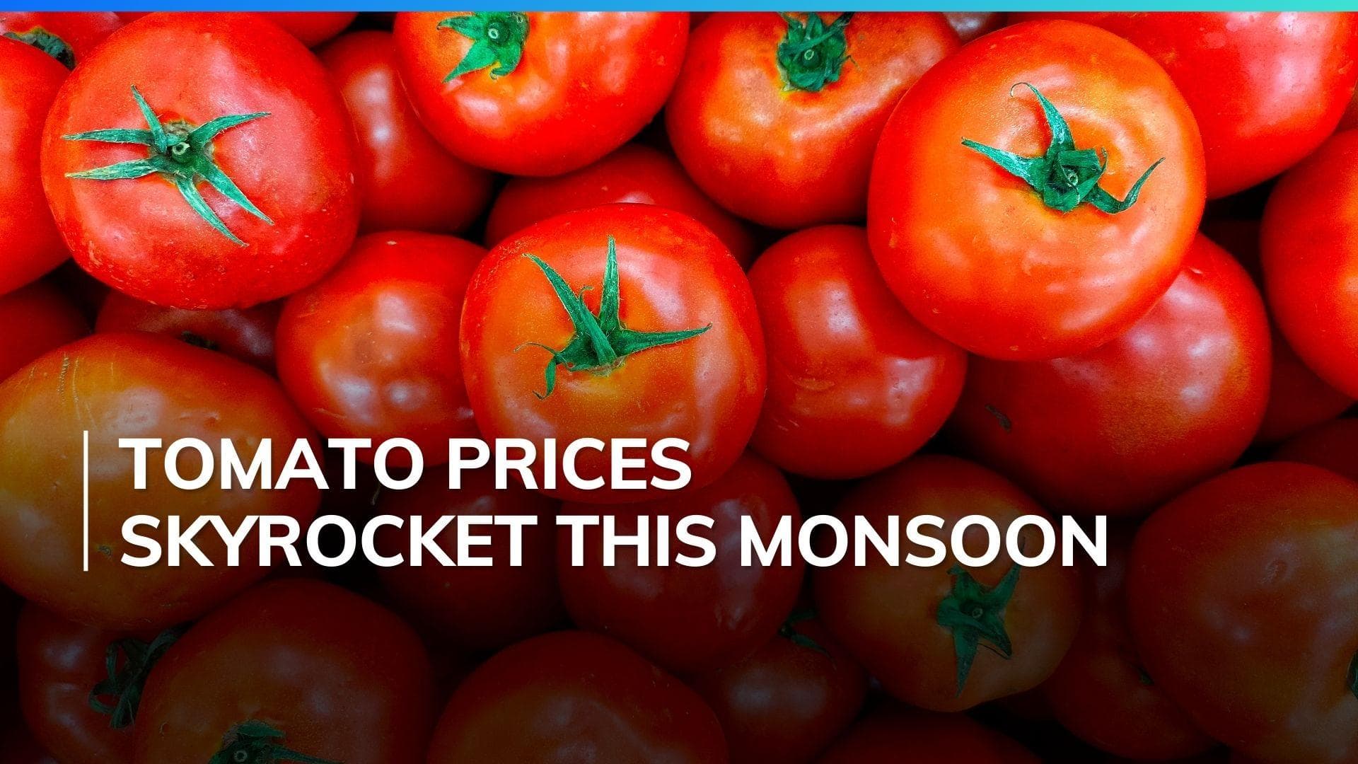 Tomato prices soar: Here's why prices are skyrocketing