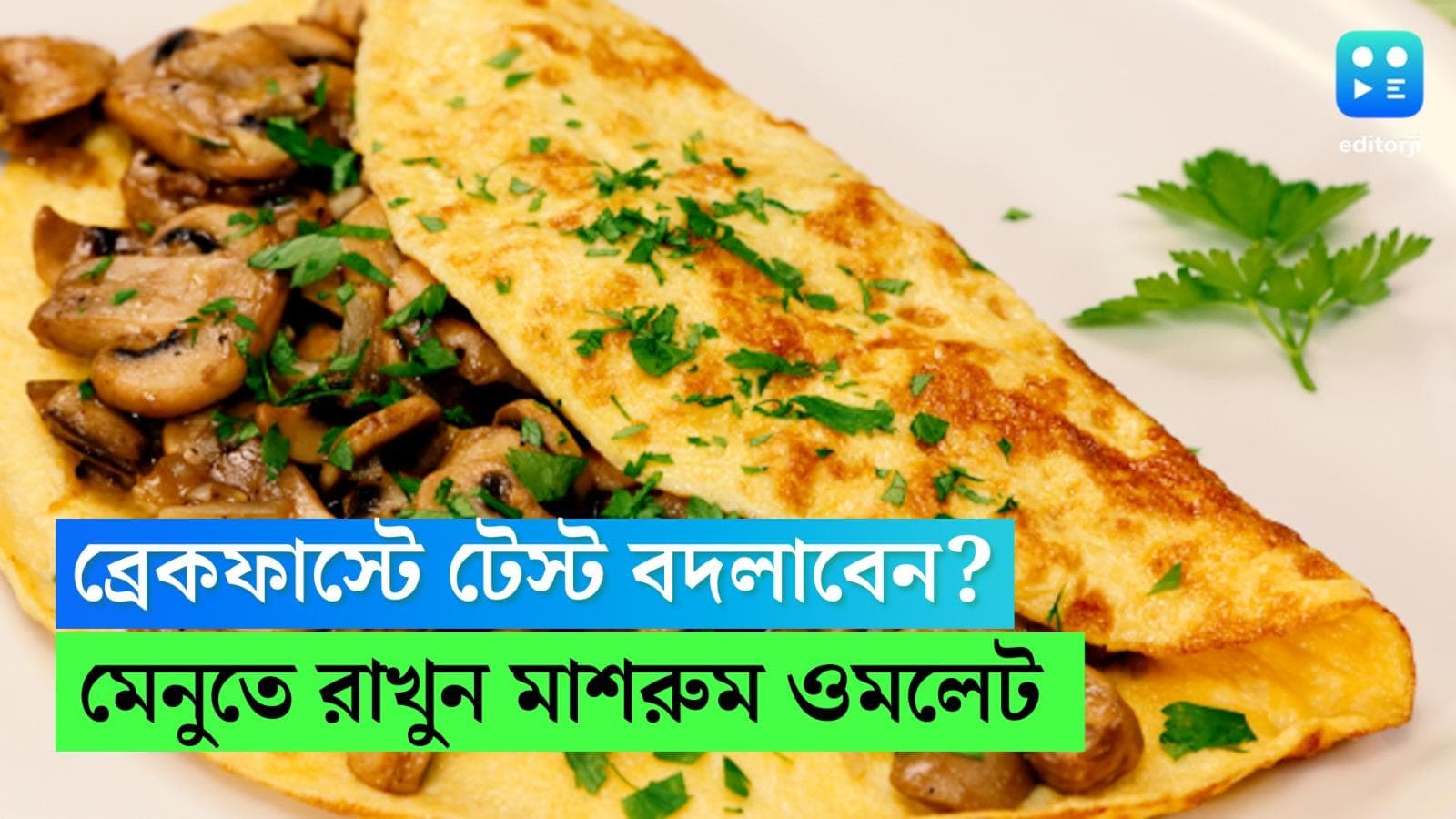 Mushroom Omelette Recipe: সপ্তাহের প্রথম দিনে হাতে সময় কম? মাত্র ১০ মিনিটে বানিয়ে ফেলুন মাশরুম অমলেট