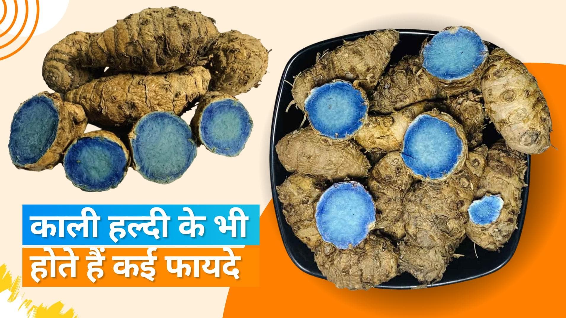 Black Turmeric: पीरियड के दर्द से लेकर मुंहासों की समस्या को दूर करती है काली हल्दी, जानें अन्य फायदे