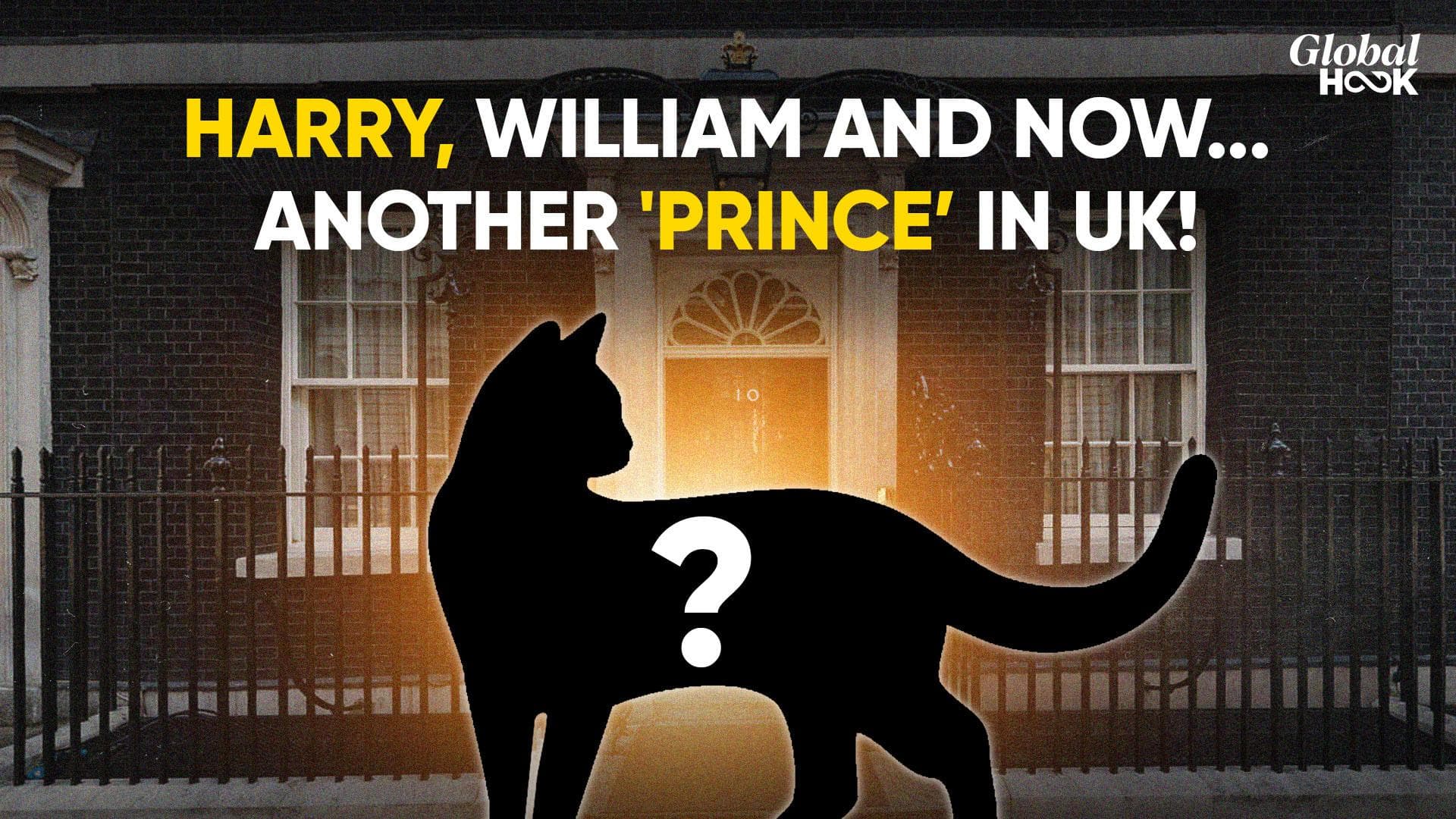 Keir Starmer's Cat Troubles: New Feline Causes 'Russia vs UK' Storm