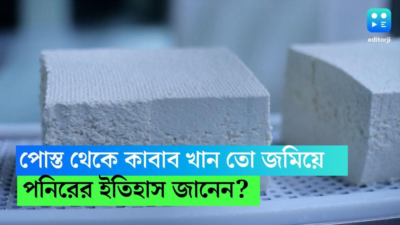 Paneer Origin: দুধ কেটে ছানা তৈরি প্রাচীন ভারতে ছিল অপবিত্র,জানেন আমাদের দেশে কীভাবে এল পনির? রইল ইতিহাস 