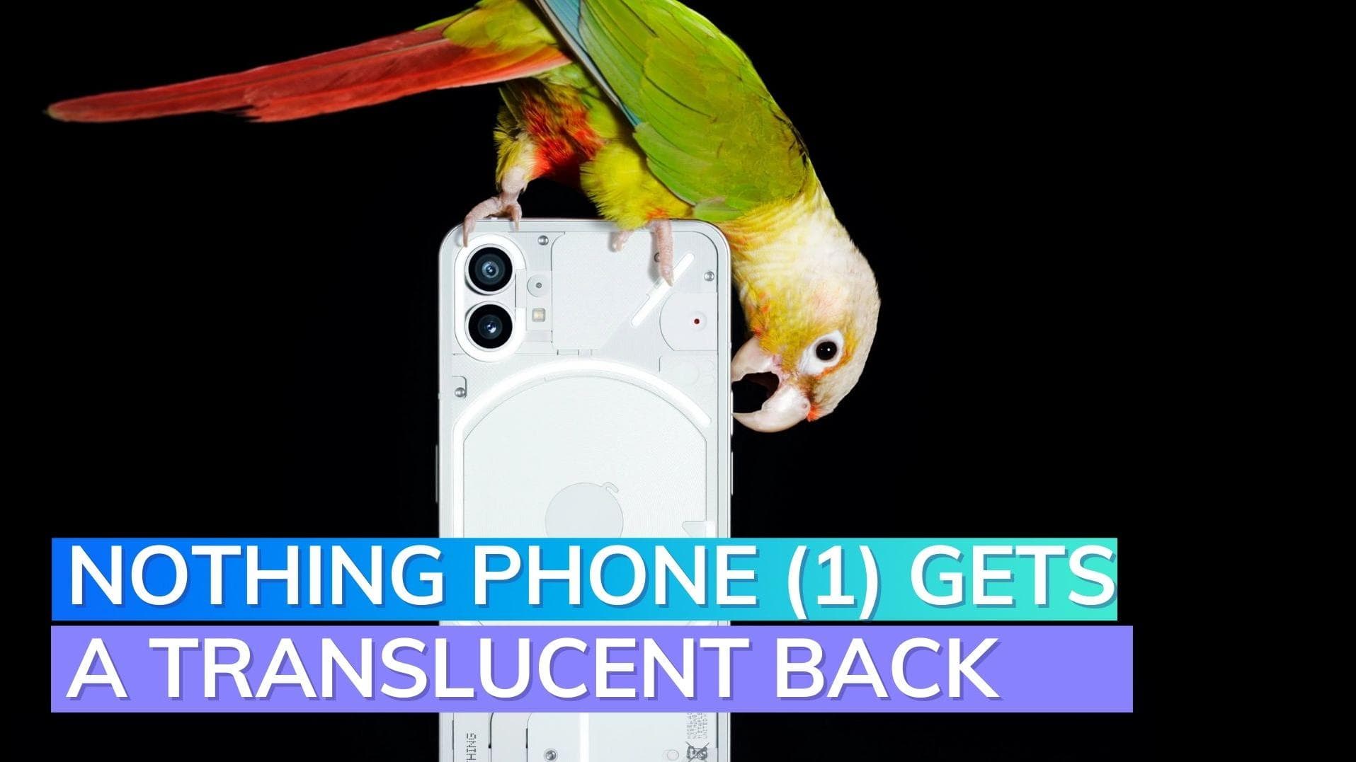 Nothing Phone (1) design officially revealed