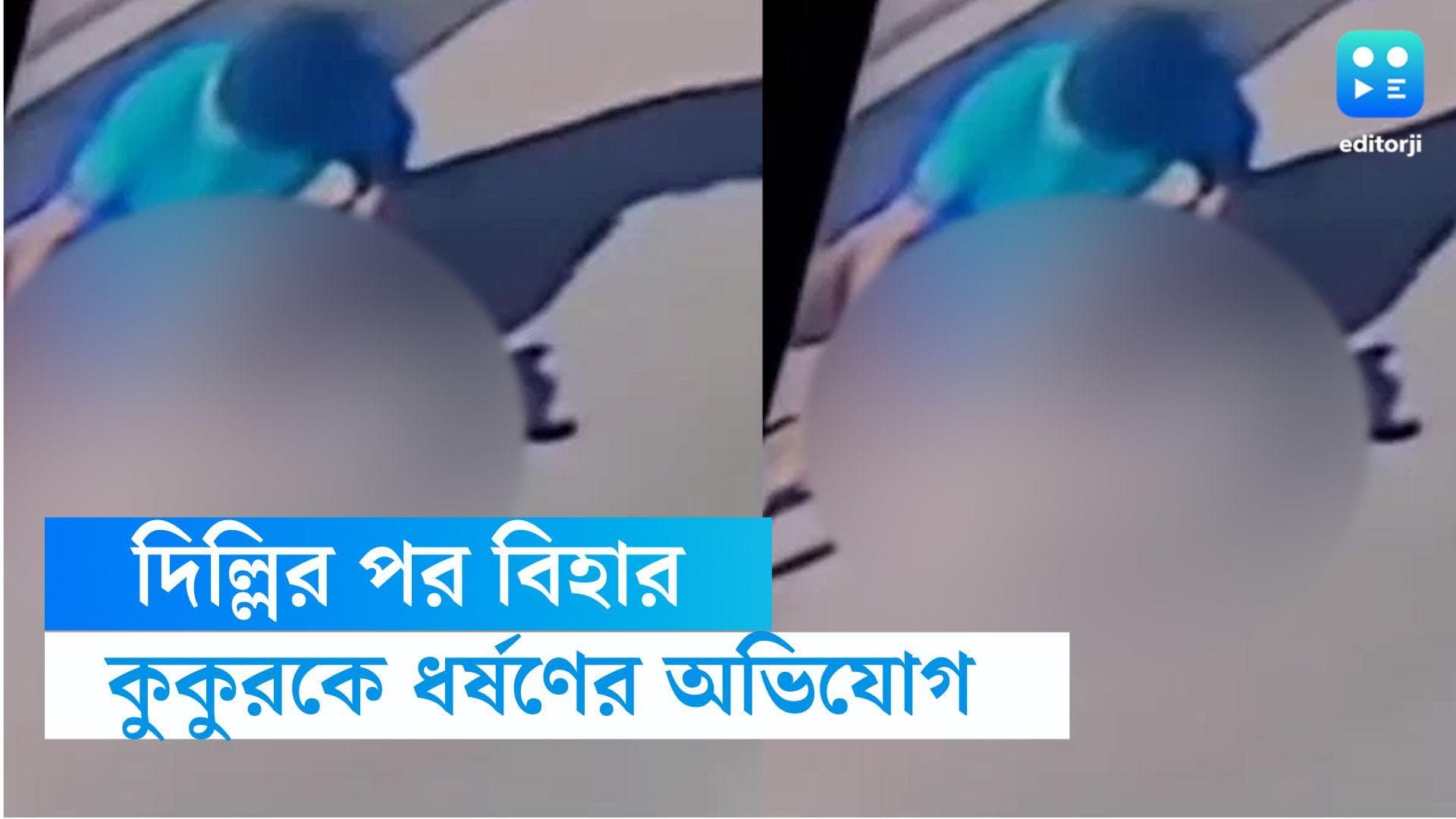 Patna News : দিল্লির পর বিহার, পথ কুকুরকে ধর্ষণের অভিযোগ ব্যক্তির বিরুদ্ধে