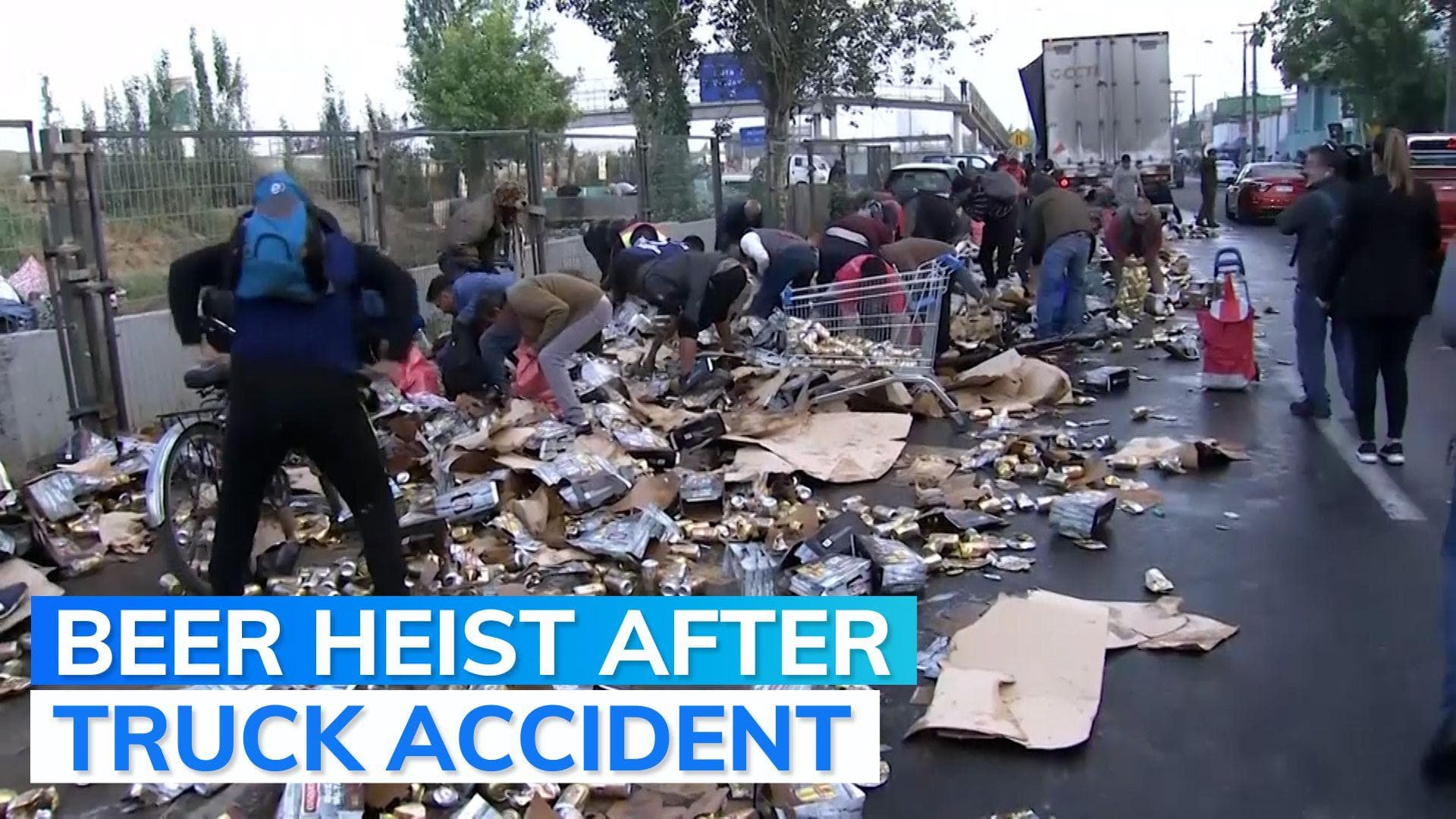 Video: Chileans hoard beer after truck loses load on busy road; 7 detained