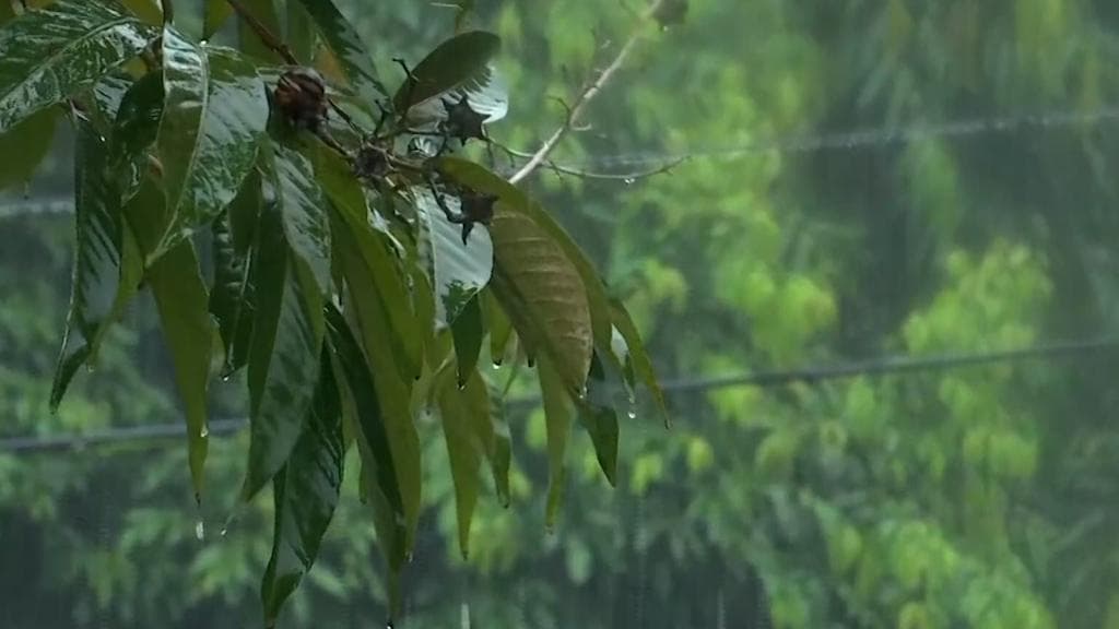 Durga Puja Rain: কলকাতায় মহাষ্টমীর জনস্রোতে বাধা হতে পারে বৃষ্টি