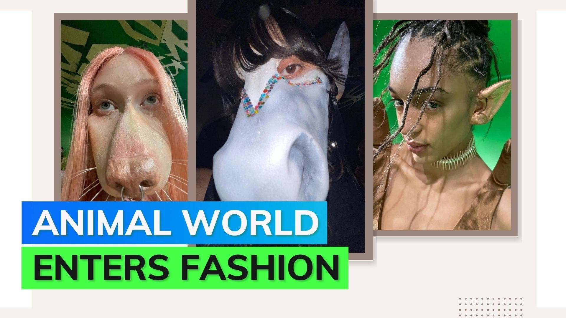 New York Fashion Week: Collina Strada’s fashion show theme divides internet; check it out