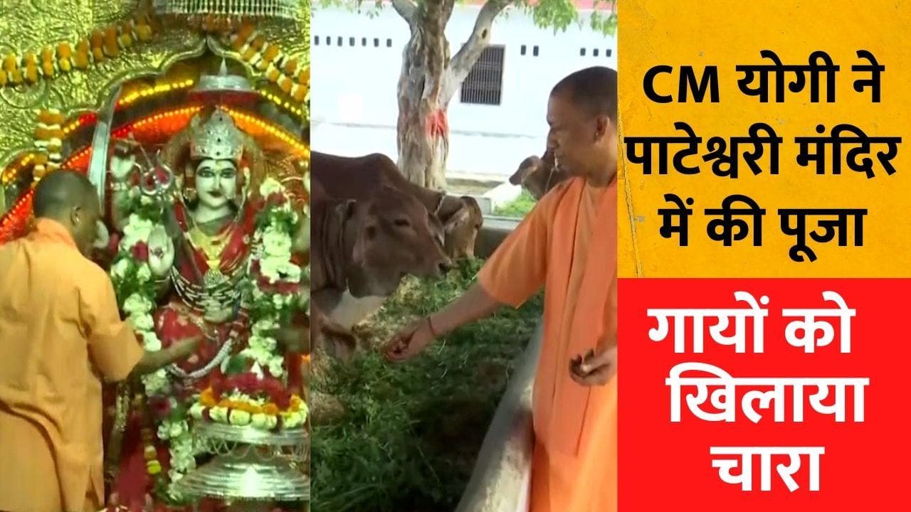 Chaitra Navratri: CM योगी ने बलरामपुर में पाटेश्वरी देवी मंदिर में की पूजा अर्चना, गायों को खिलाया चारा