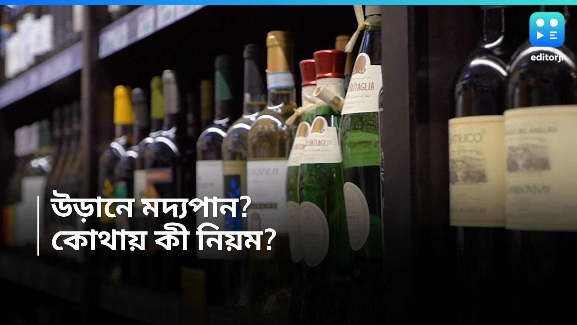 Alcohol Rule for Domestic Flight: ডোমেস্টিক উড়ানে মদ নিতেই পারেন, তবে জানতে হবে নিয়ম কানুন