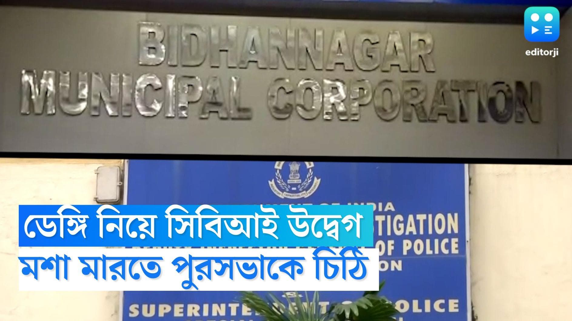 Dengue: পুরসভাকে চিঠি সিবিআইয়ের, মশা আতঙ্ক সিজিও-তে