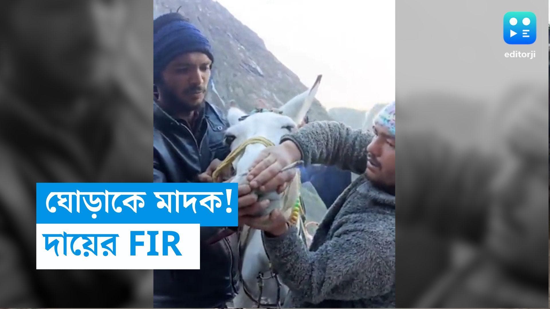 Kedarnath: ঘোড়াকে মাদক খাওয়ানোর ঘটনা, অভিযুক্তদের বিরুদ্ধে FIR পুলিশের