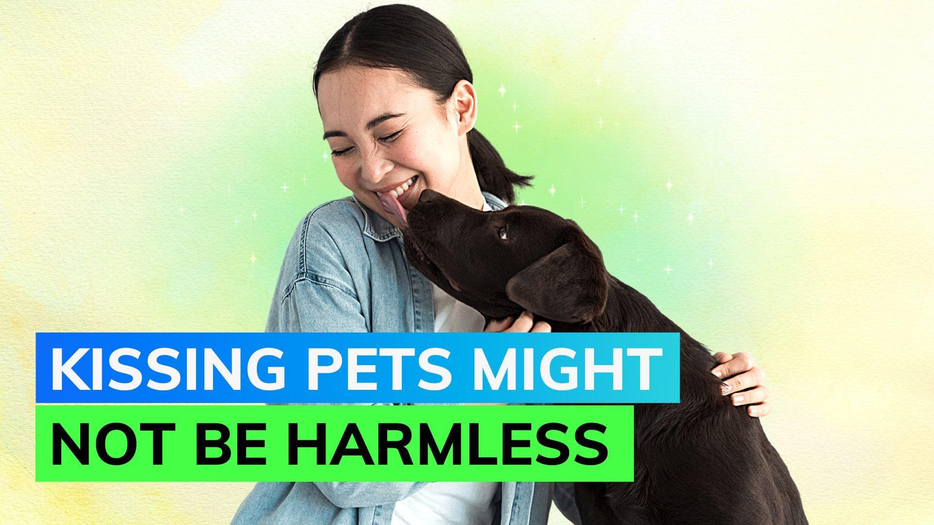 Should you avoid kissing your pets? Survey share insights