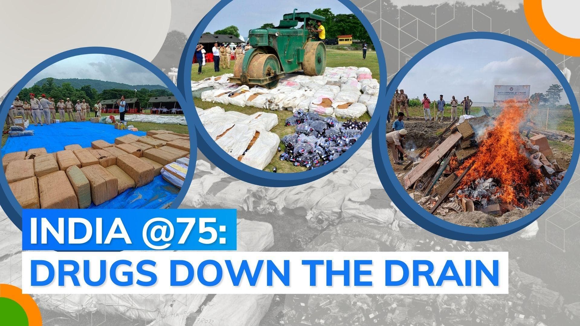 Video: 30,000 kg of drugs destroyed, fixed target surpassed 