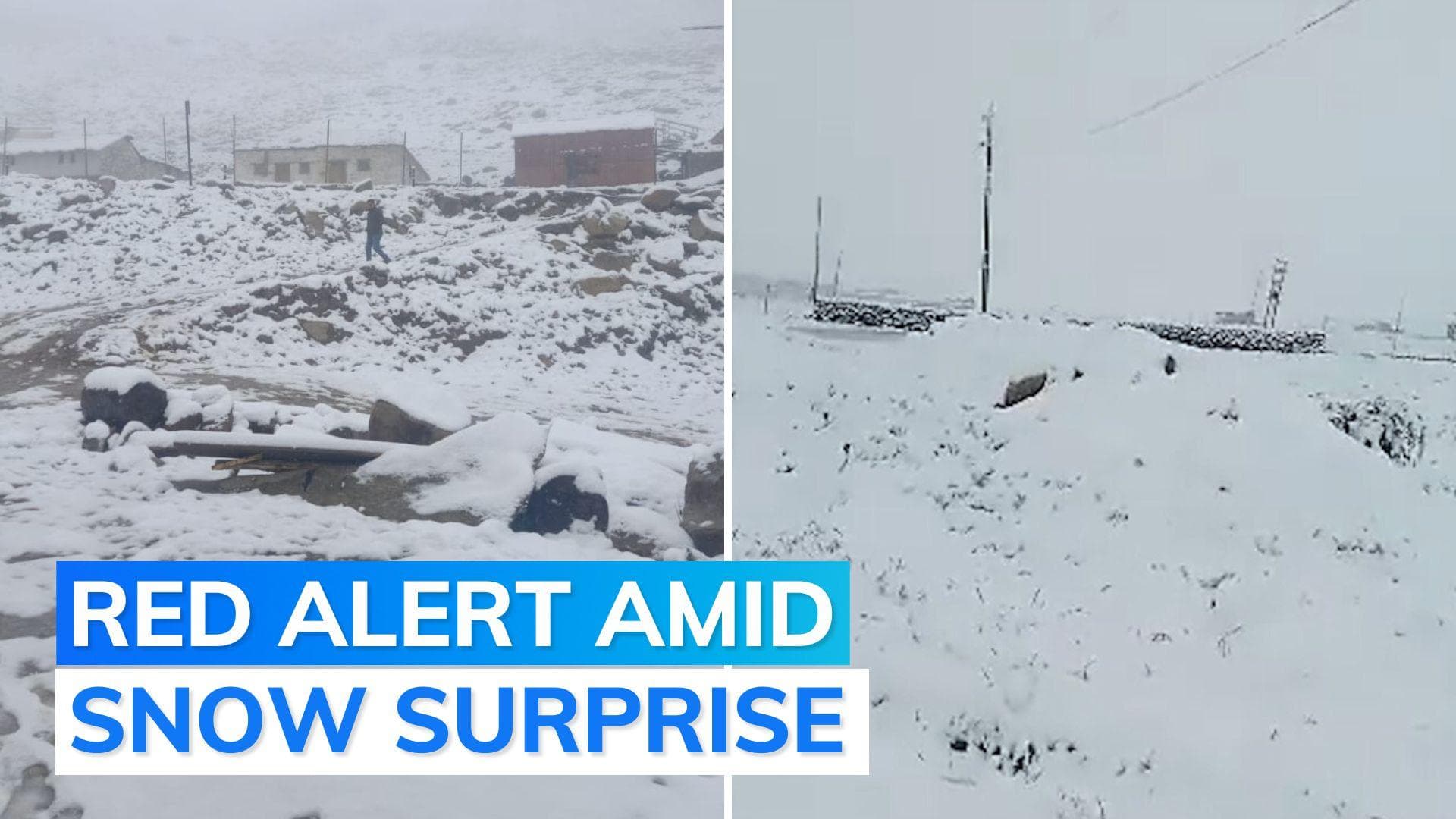 Amid rain fury in north India, Ladakh witnesses unseasonal snowfall 