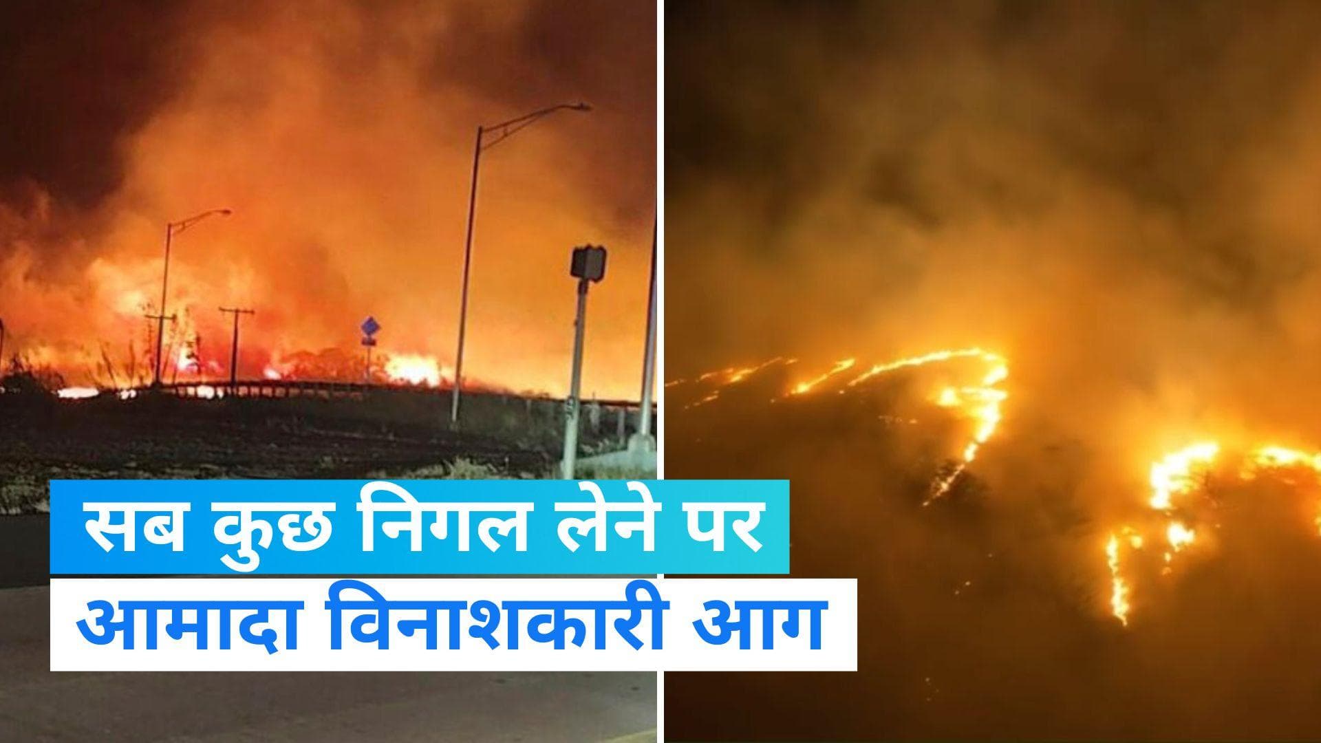 US Wildfire:  हवाई के जंगलों में भड़की भीषण आग, लपटों में घिरकर 36 की मौत