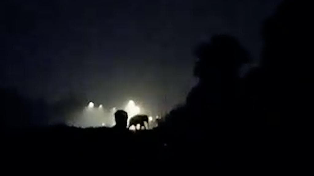 Wildlife: জলপাইগুড়িতে গাড়ি করে নদি পাড়, লোকালয় ঘুরে দুদিন পর ঘরে ফিরল জোড়া হাতি