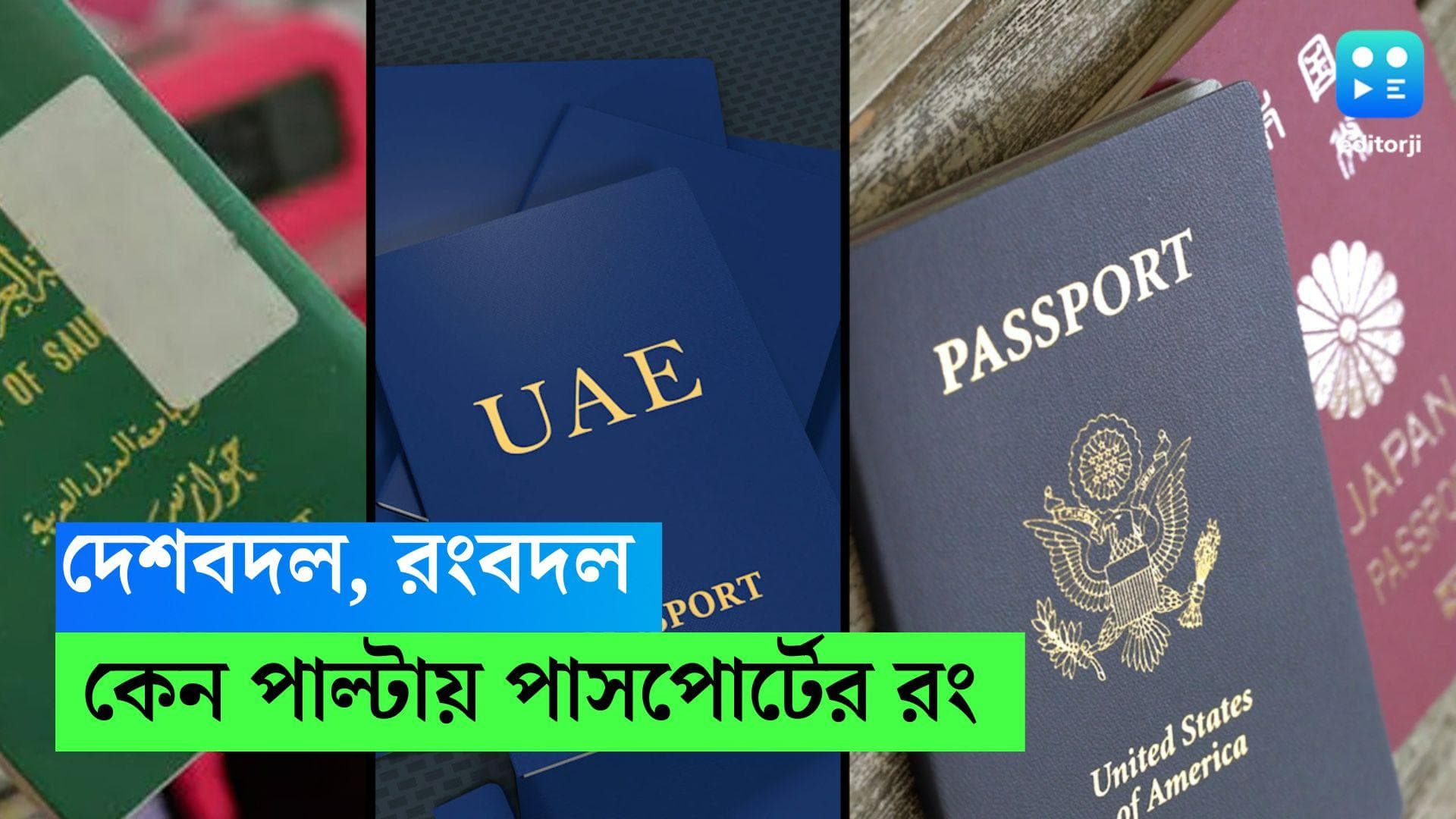 Passport's Colour Significance: দেশ ভেদে পাসপোর্টের রঙ বদলে যায় কেন? নেপথ্যে লুকিয়ে কোন রহস্য?