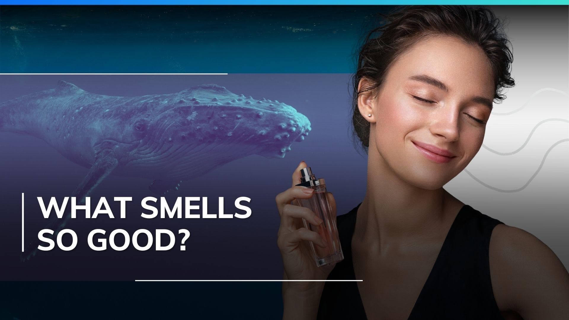 Can you believe whale vomit is the unlikely treasure behind most luxurious fragrances? Find out more